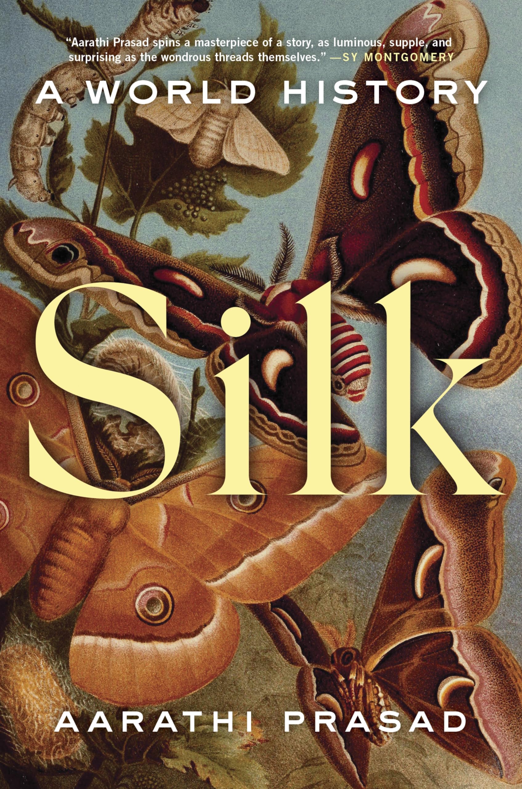 Silk: A World History cover